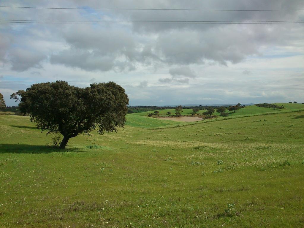 Cantar Do Grilo - Turismo Rural סרפה מראה חיצוני תמונה