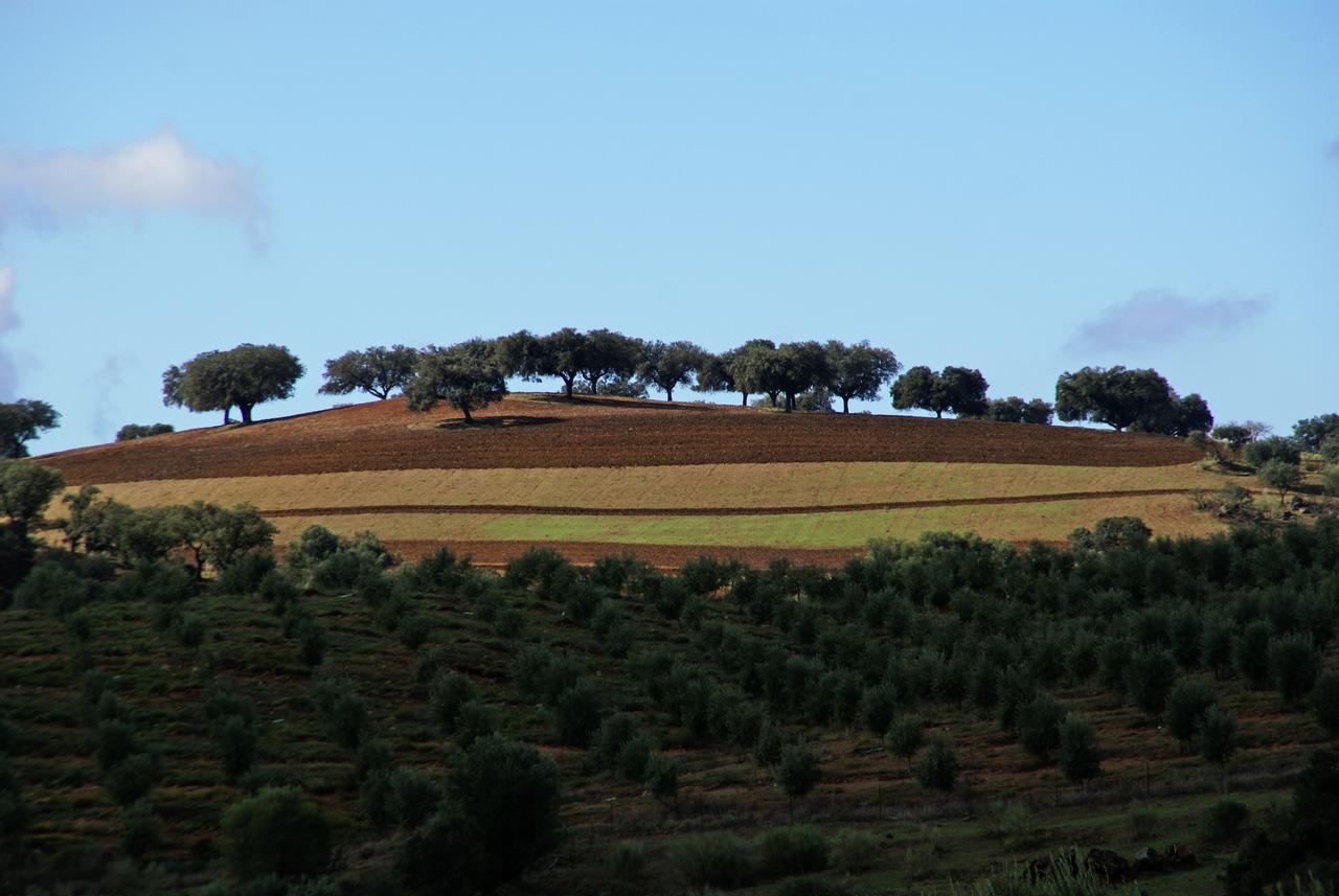 Cantar Do Grilo - Turismo Rural סרפה מראה חיצוני תמונה